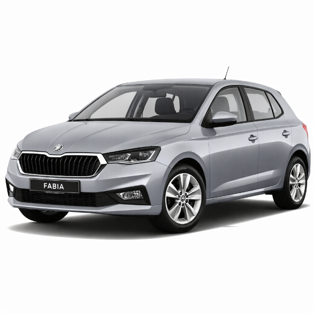 SKODA FABIA ou similaire