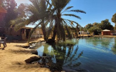 3d474952-6daa-4794-8093-3b652f71598e