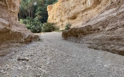 491406012_581371248306390_1213459019832096607_n