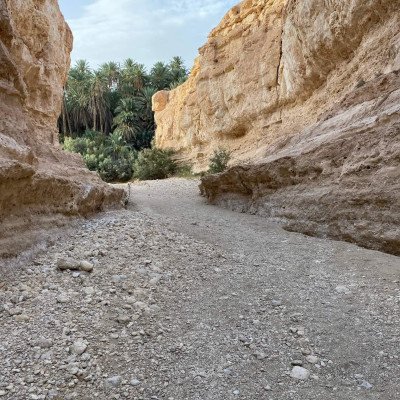 491406012_581371248306390_1213459019832096607_n