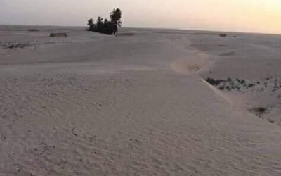 494266608_587115277731987_1789665459399938291_n