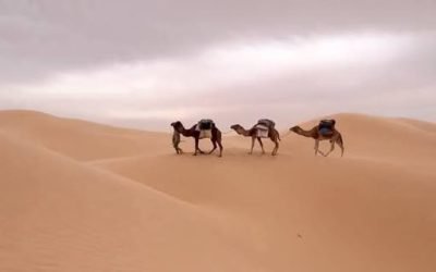 494471681_587126007730914_3388541482342978594_n