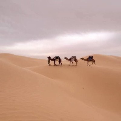 494471681_587126007730914_3388541482342978594_n