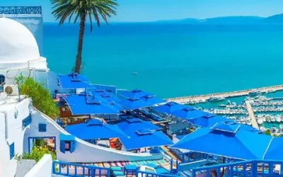 P 0005 Sidi Bou Said Qs9xd5gwzed7103ubganj9rm9lb2t21zwpmqnv5qk8