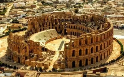 P 0008 Recwyjq6xqxknnbelj (1)