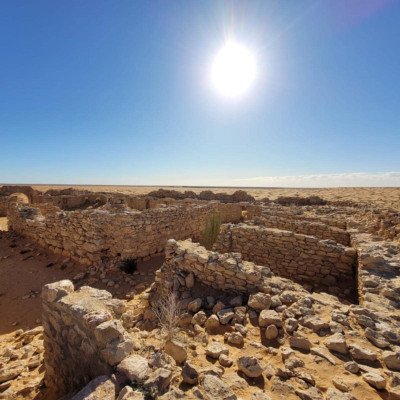 c78e69d7-daed-4591-aae7-dc36f4d8415b