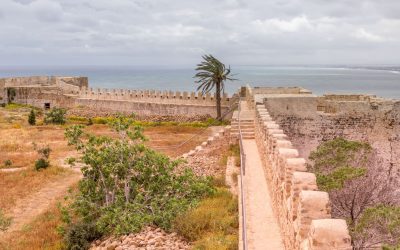Fort Wall Tower Sea View Tunisia Kerkouane Kelibia Day Trip From Sousse Tunis Img 5431