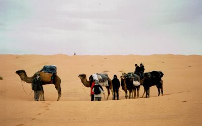 LEAD Technologies Inc. V1.01