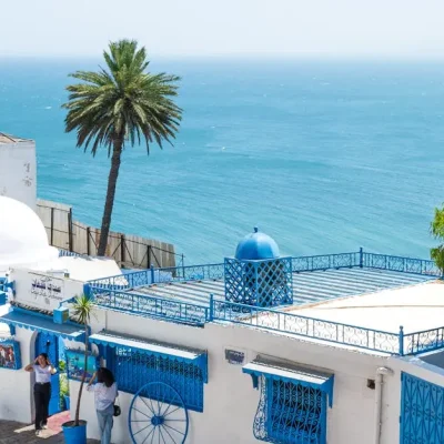 Charming seaside view of traditional Tunisian architecture in Carthage.