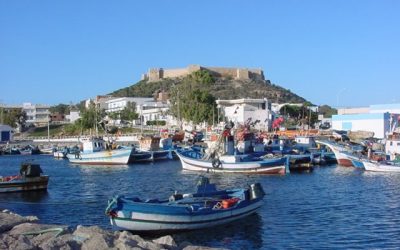 Tout Savoir Sur Le Cap Bon 1